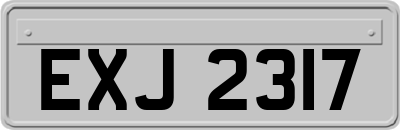 EXJ2317