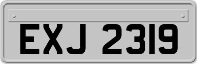 EXJ2319