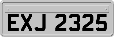 EXJ2325