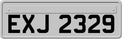 EXJ2329