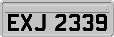 EXJ2339