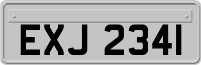 EXJ2341
