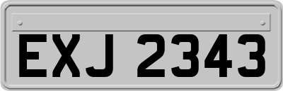 EXJ2343
