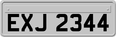 EXJ2344