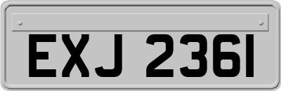 EXJ2361