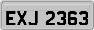 EXJ2363