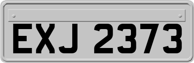 EXJ2373