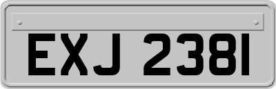 EXJ2381