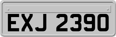 EXJ2390