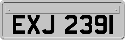 EXJ2391
