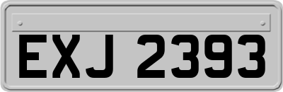 EXJ2393