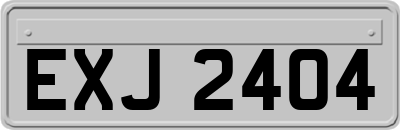 EXJ2404