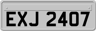 EXJ2407