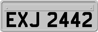 EXJ2442