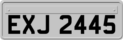 EXJ2445