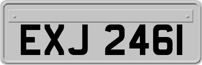 EXJ2461