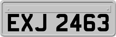 EXJ2463