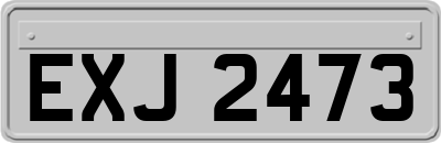 EXJ2473
