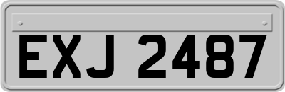 EXJ2487