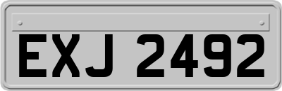 EXJ2492