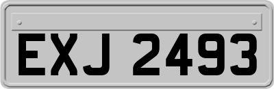 EXJ2493