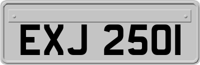 EXJ2501