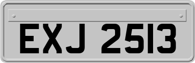 EXJ2513