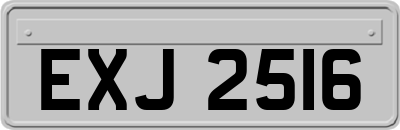 EXJ2516