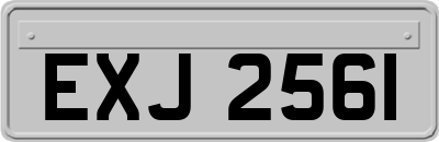 EXJ2561
