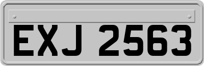 EXJ2563