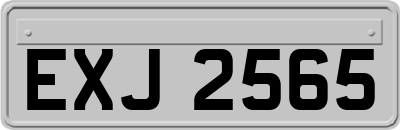 EXJ2565