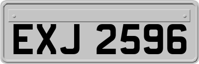 EXJ2596