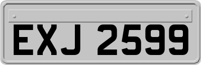 EXJ2599