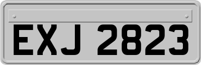 EXJ2823