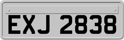 EXJ2838