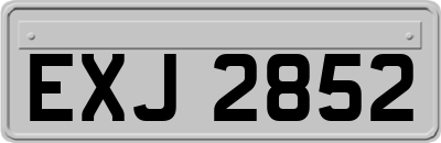 EXJ2852