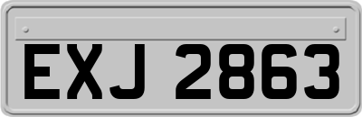 EXJ2863