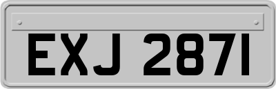 EXJ2871