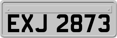 EXJ2873