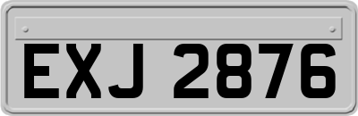 EXJ2876