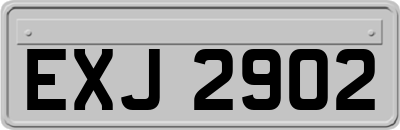 EXJ2902