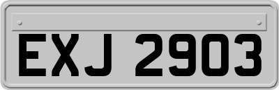 EXJ2903