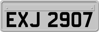EXJ2907