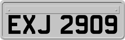 EXJ2909