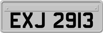 EXJ2913