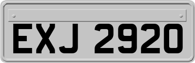 EXJ2920