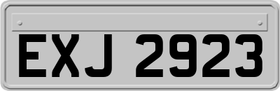 EXJ2923