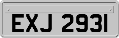 EXJ2931
