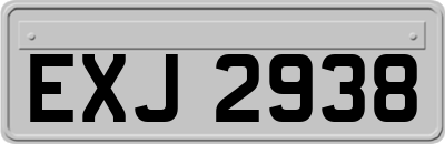 EXJ2938
