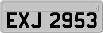 EXJ2953